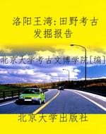 洛阳王湾：田野考古发掘