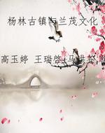 杨林古镇与兰茂文化