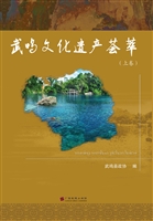 武鸣文化遗产荟萃（上卷