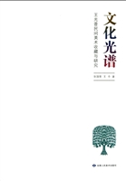 文化光谱：王光普民间美
