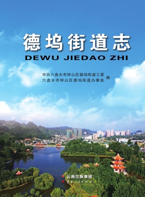 德坞街道志