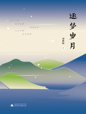 逐梦岁月
