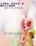 大漠遗珍  丝路传奇：新