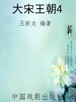 大宋王朝4