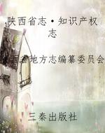 陕西省志·知识产权志