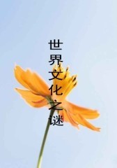 世界文化之谜