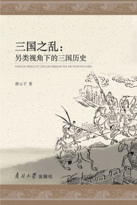 三国之乱：另类视角下的