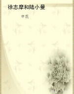 徐志摩和陆小曼