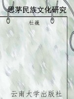 思茅民族文化研究