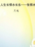人生长恨水长东——张