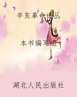 辛亥革命论丛