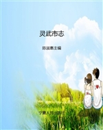 灵武市志
