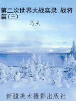 第二次世界大战实录.