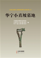 华宁小直坡墓地