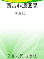 西吉非遗图录