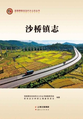 沙桥镇志