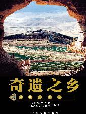 奇遗之乡