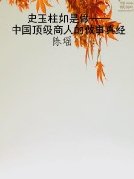 史玉柱如是做——中国