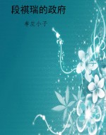 段祺瑞的政府