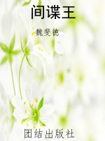 间谍王