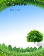 风流元帅叶剑英
