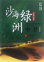 沙海绿洲·中卫