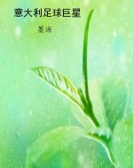 意大利足球巨星