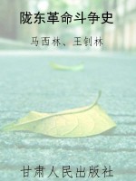 陇东革命斗争史