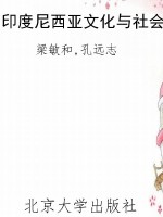 印度尼西亚文化与社会