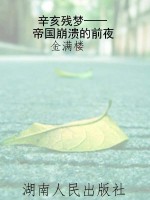 辛亥残梦——帝国崩溃
