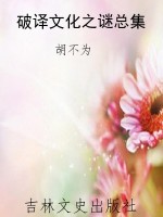 破译文化之谜总集