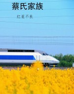 蔡氏家族
