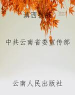 滇西抗战
