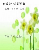 破译文化之谜总集