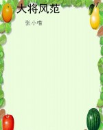 大将风范