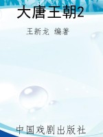 大唐王朝2