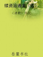 续资治通鉴（四）