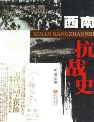 西南抗战史