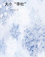大小“李杜”