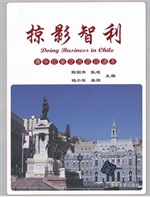掠影智利