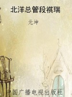 北洋总管段祺瑞
