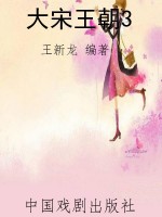 大宋王朝3