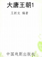 大唐王朝1