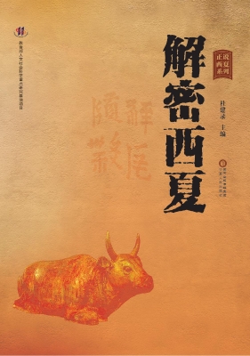 解密西夏