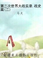 第二次世界大战实录.