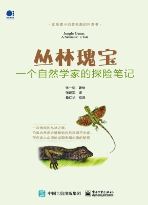 丛林瑰宝——一个自然