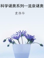科学谜奥系列--流泉谜