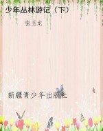 少年丛林游记（下）
