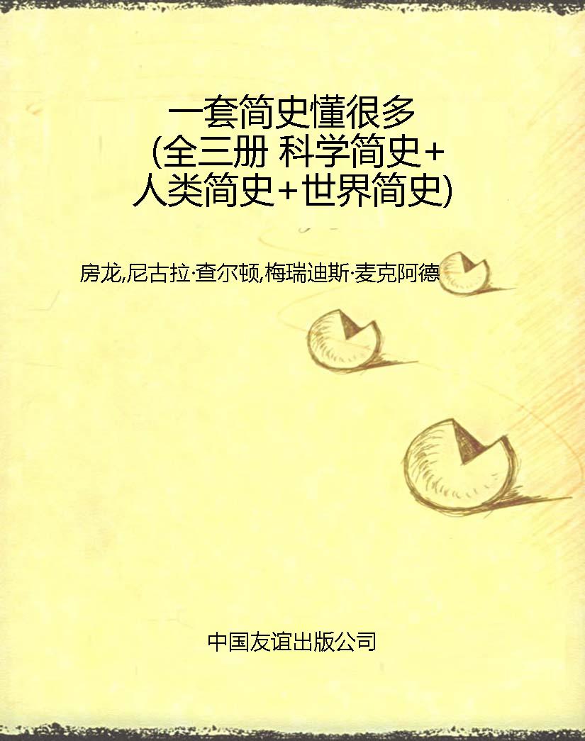 一套简史懂很多（全三册