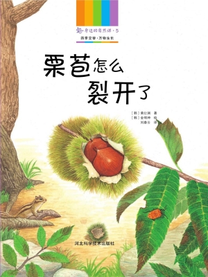 身边的自然课 5——栗